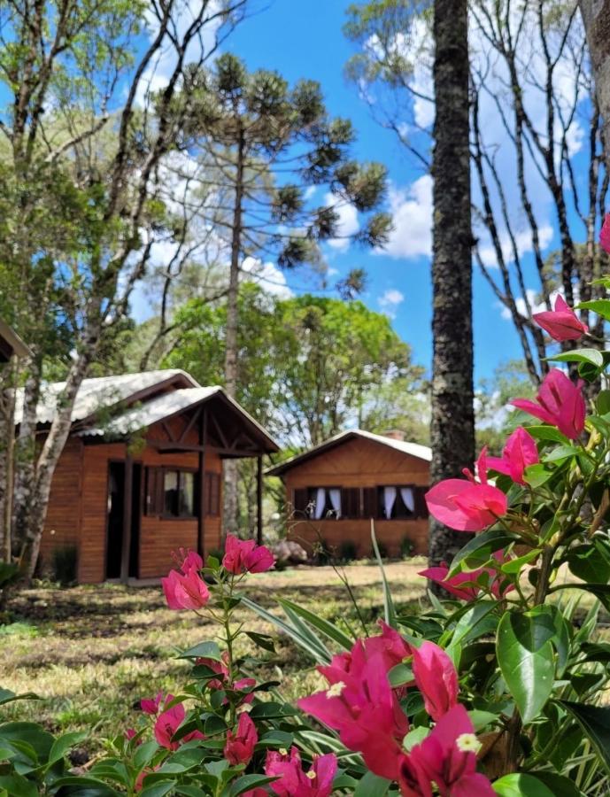 Cabanas Dos Pinheiros São Francisco de Paula Kültér fotó