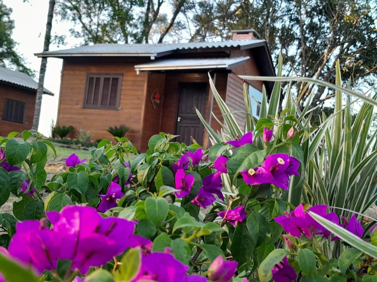 Cabanas Dos Pinheiros São Francisco de Paula Kültér fotó