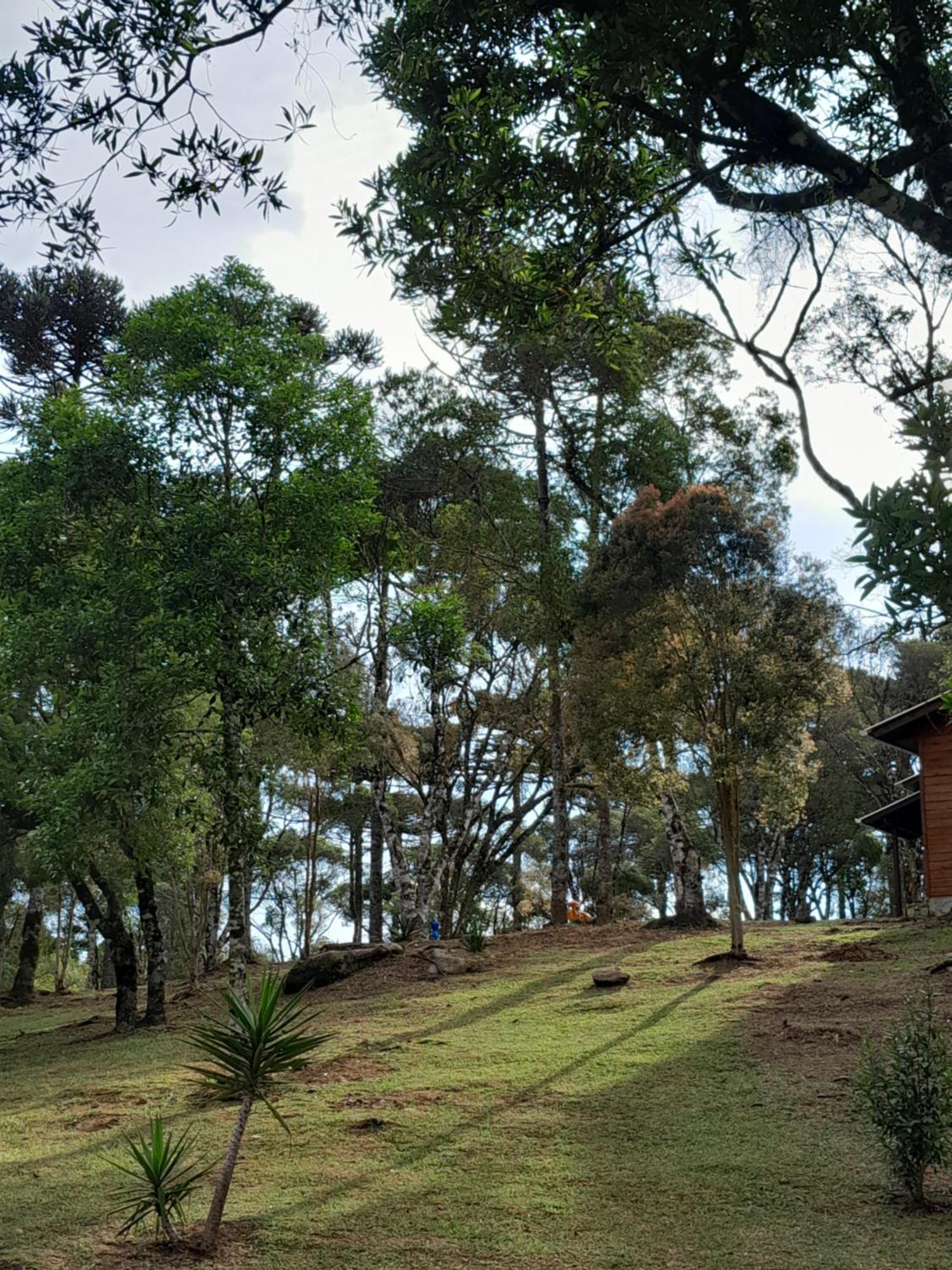Cabanas Dos Pinheiros São Francisco de Paula Szoba fotó
