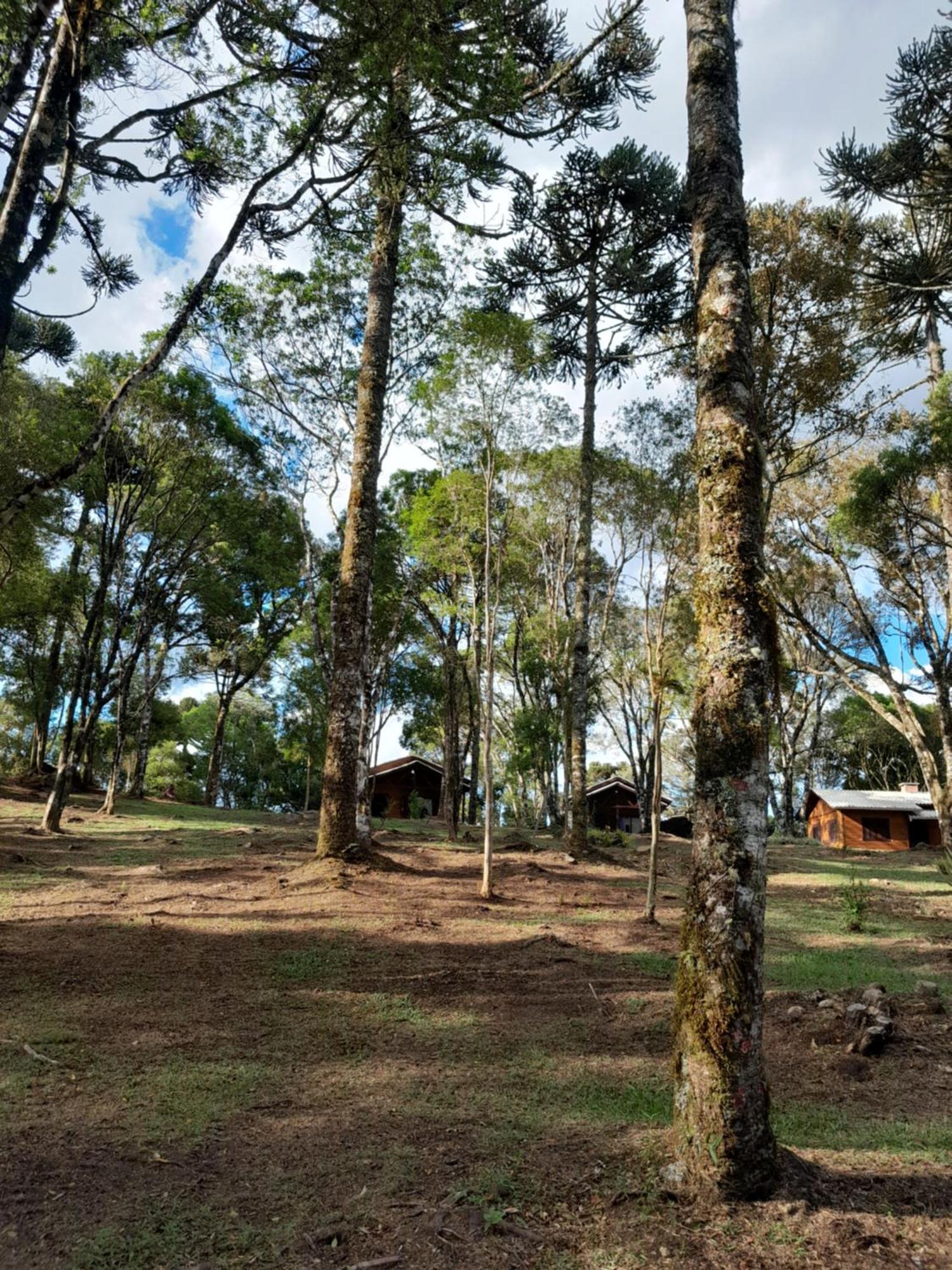 Cabanas Dos Pinheiros São Francisco de Paula Szoba fotó