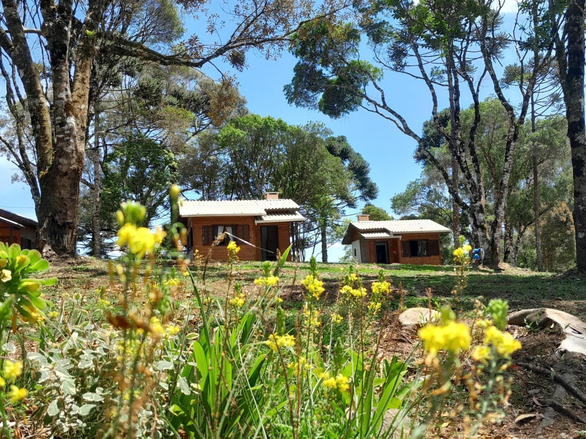 Cabanas Dos Pinheiros São Francisco de Paula Szoba fotó